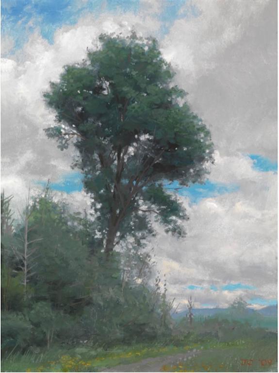 Jacob Collins Maple Tree, Painting For Sale at 1stdibs