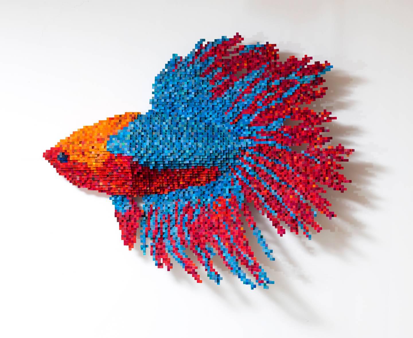 Betta Fish - Mixed Media Art by Shawn Smith