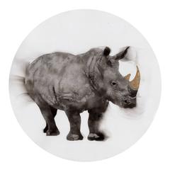 Coco-Rhino
