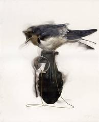 Used Swallow Strung to Grenade