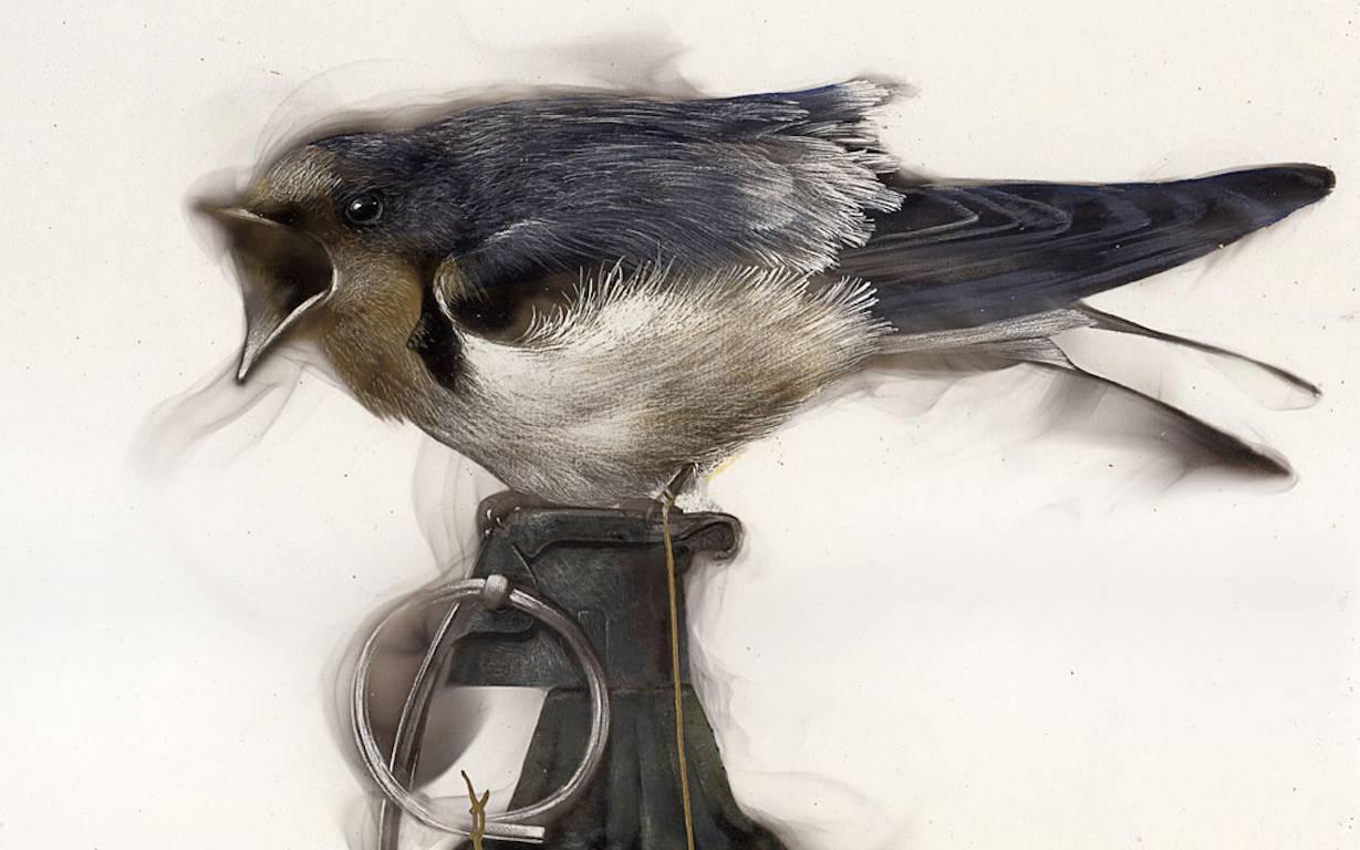Swallow Strung to Grenade - Print by Steven Spazuk