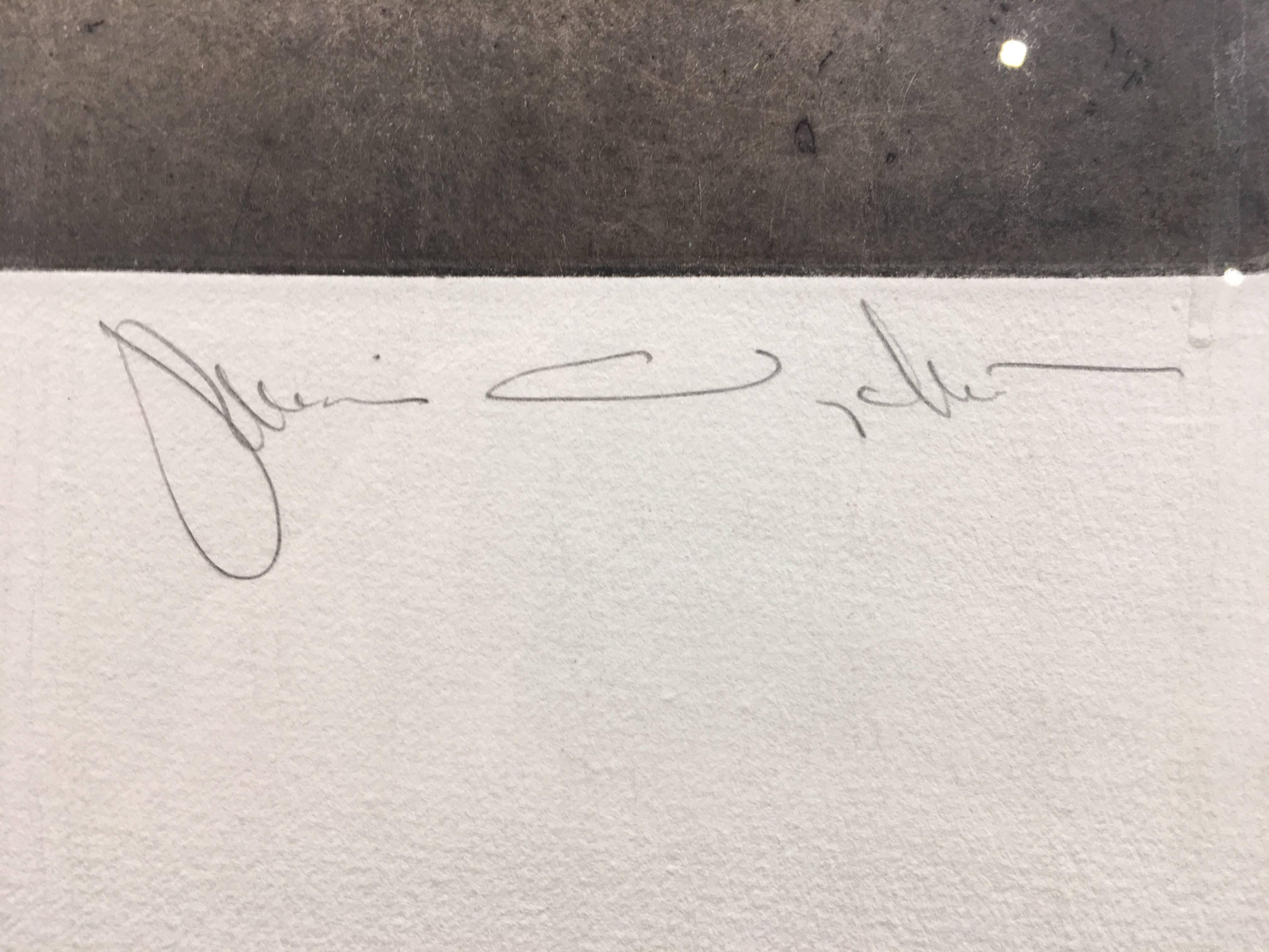 Auflage 108/150, gerahmt
Blattgröße: 25 x 20 Zoll
Bildgröße: 9,75 x 9,75 Zoll
Rahmengröße: 28 x 23 Zoll
Signiert unten links: 108/150
Signiert unten rechts: Jamie Wyeth

Jamie Wyeth (geb. 1946) ist ein Künstler der dritten Generation, der sich als