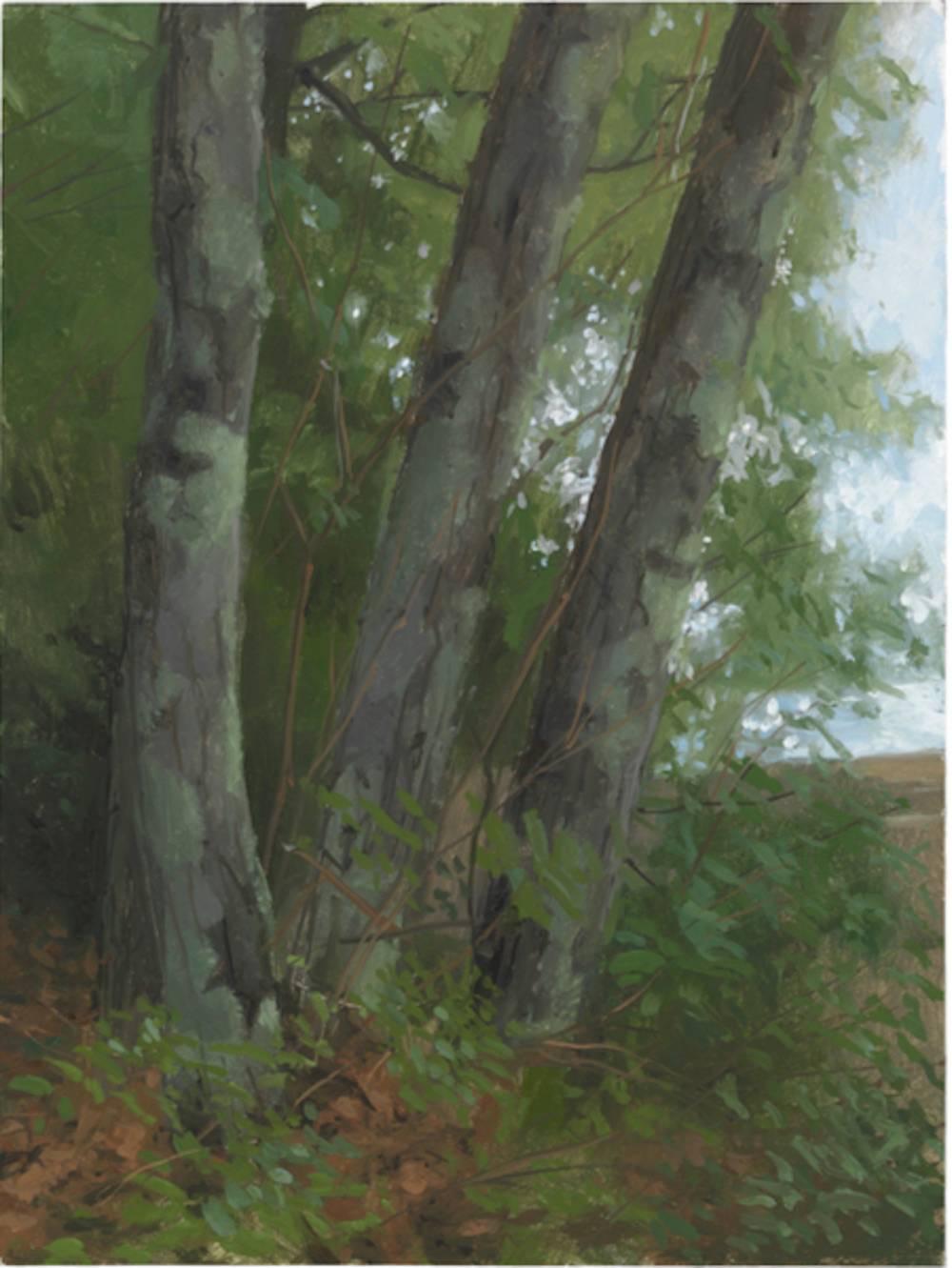 Jacob Collins Landscape Painting - Three Maples