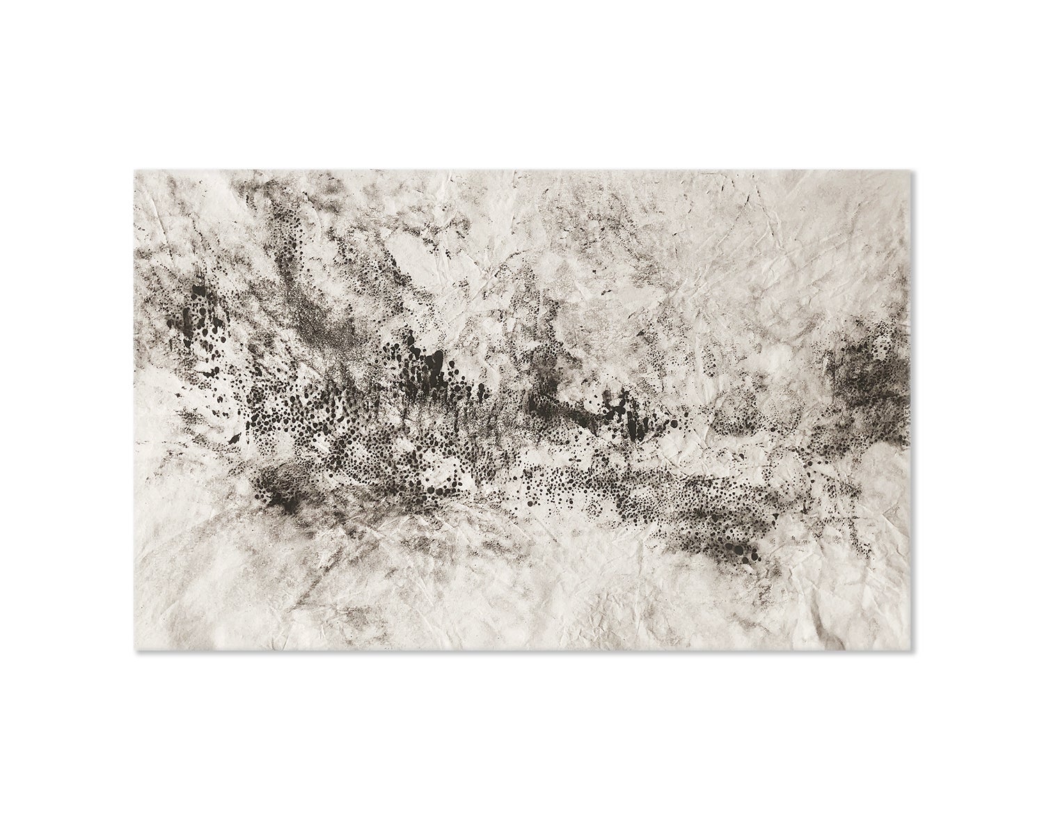 Kurtis Brand Ash Ceniza 15 Black And White Ashes Abstract