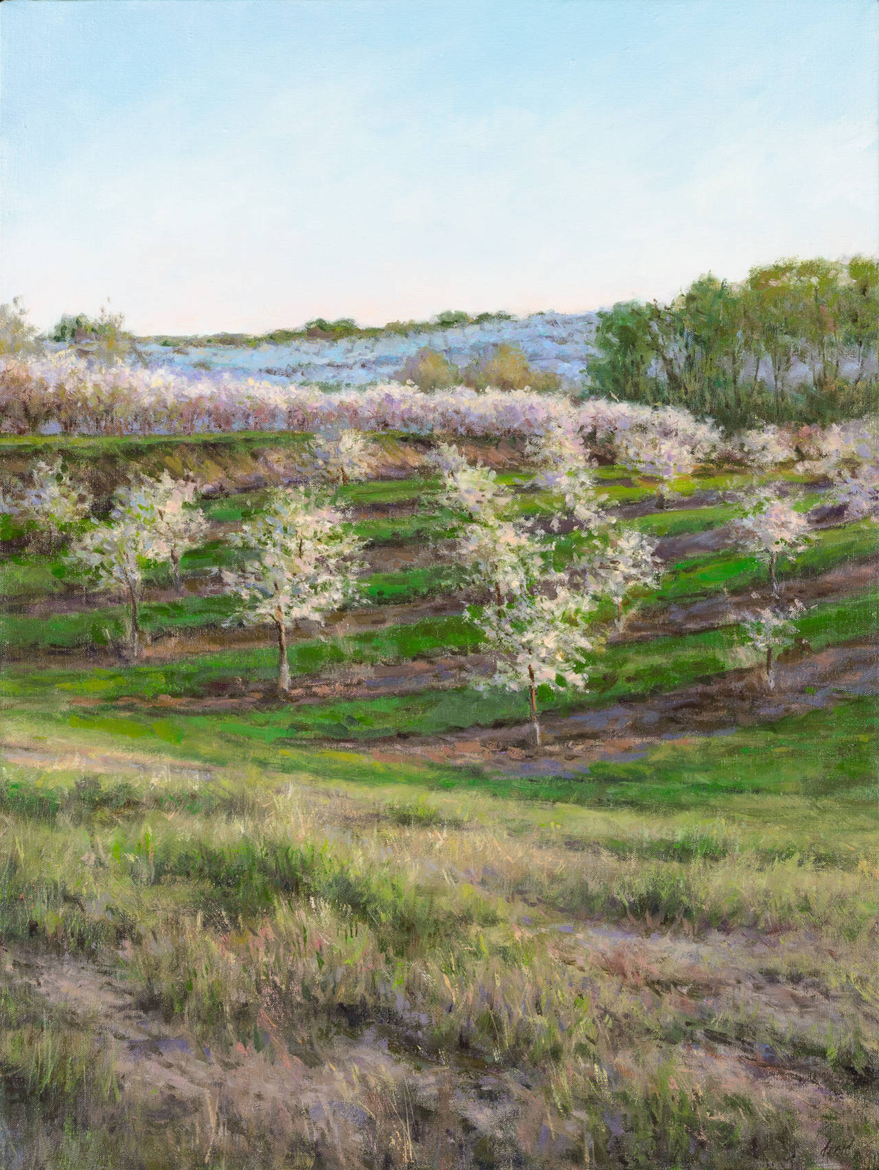 Landscape Painting Debra Reid Jenkins - Promis et objectifs