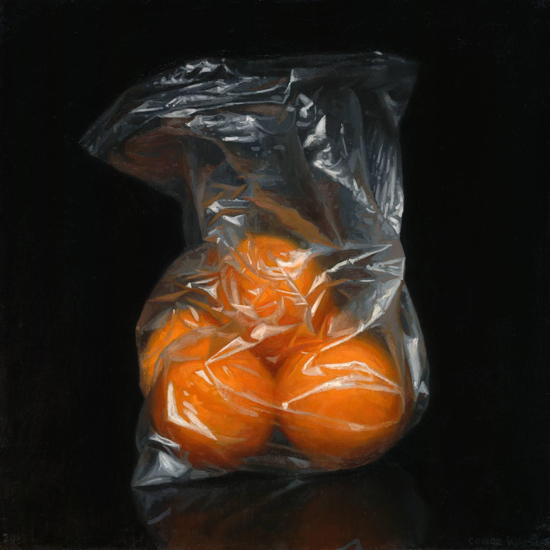Conor Walton Still-Life Painting - Bag of Oranges