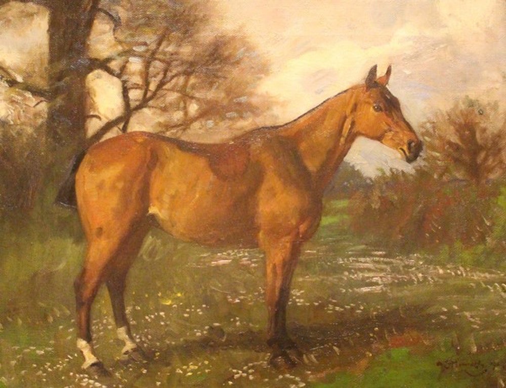 Alfred Munnings Animal Painting - A Hunter in a Meadow