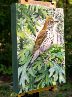 Ethereal Wood Thrush, Original Painting