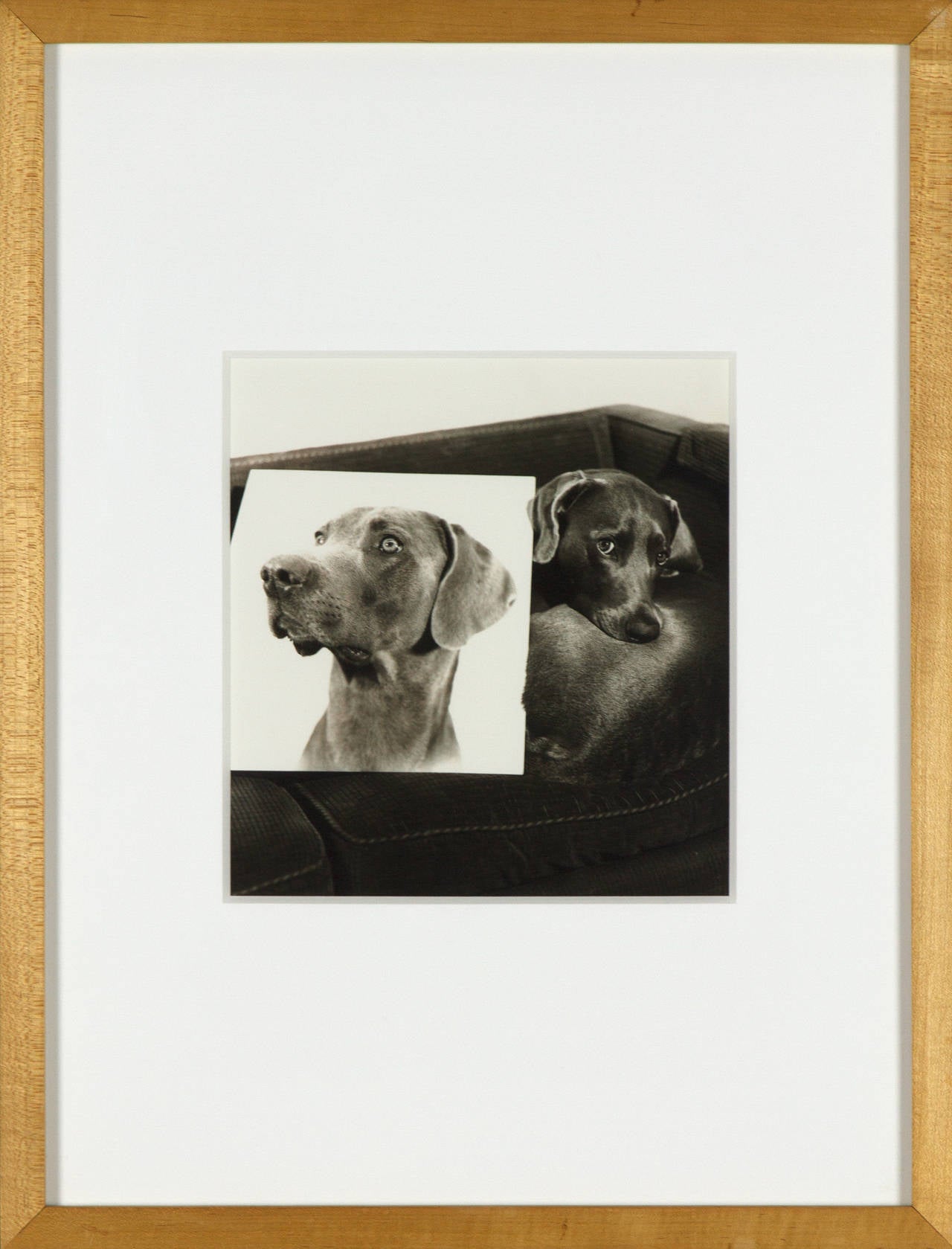 Retrato doble - Photograph Contemporáneo de William Wegman