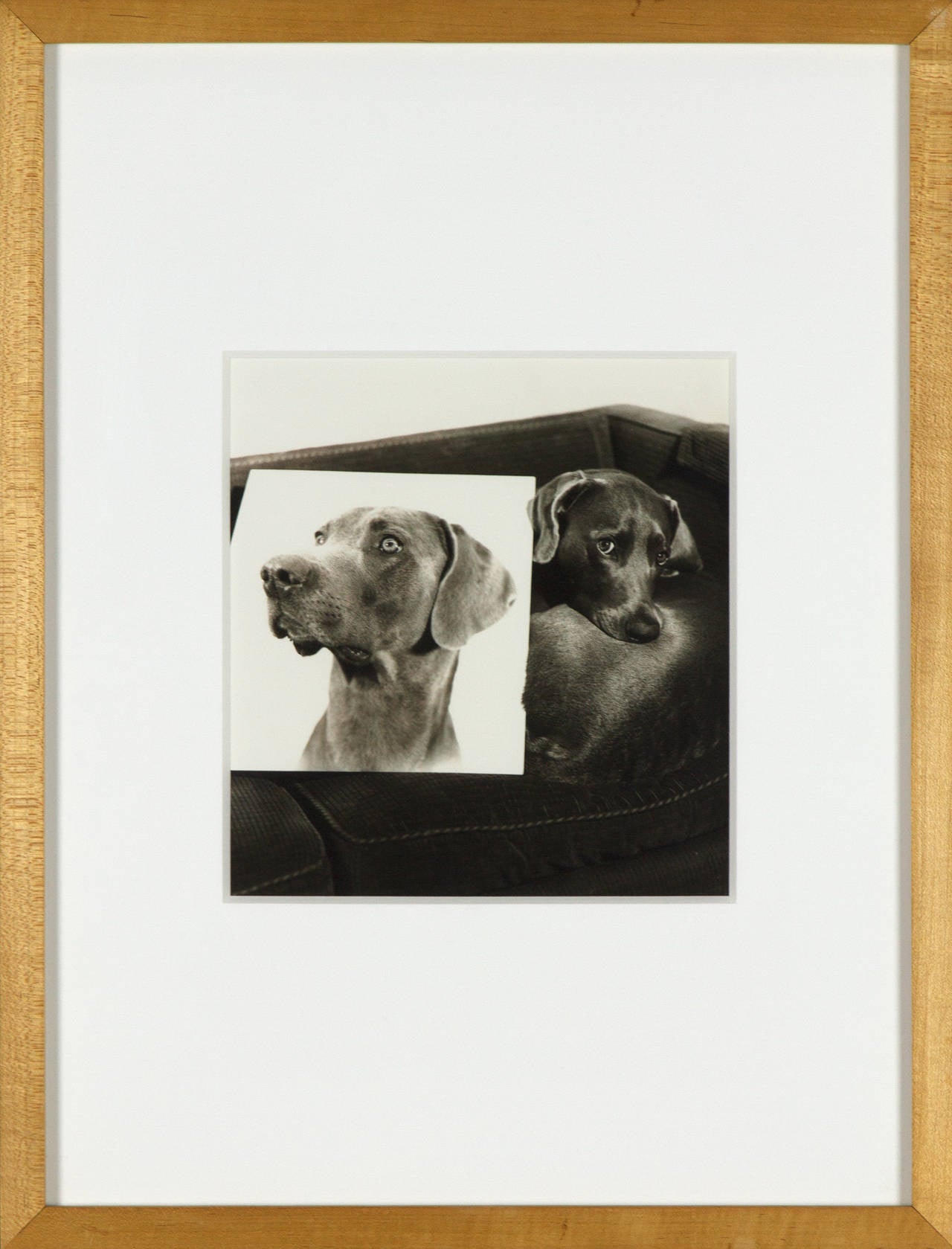 Das Doppelporträt (Zeitgenössisch), Photograph, von William Wegman