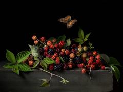 Blackberries and Butterfly, After A.C. 12