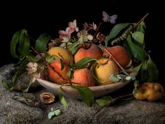 Peaches and Hydrangeas, After G.G. 9