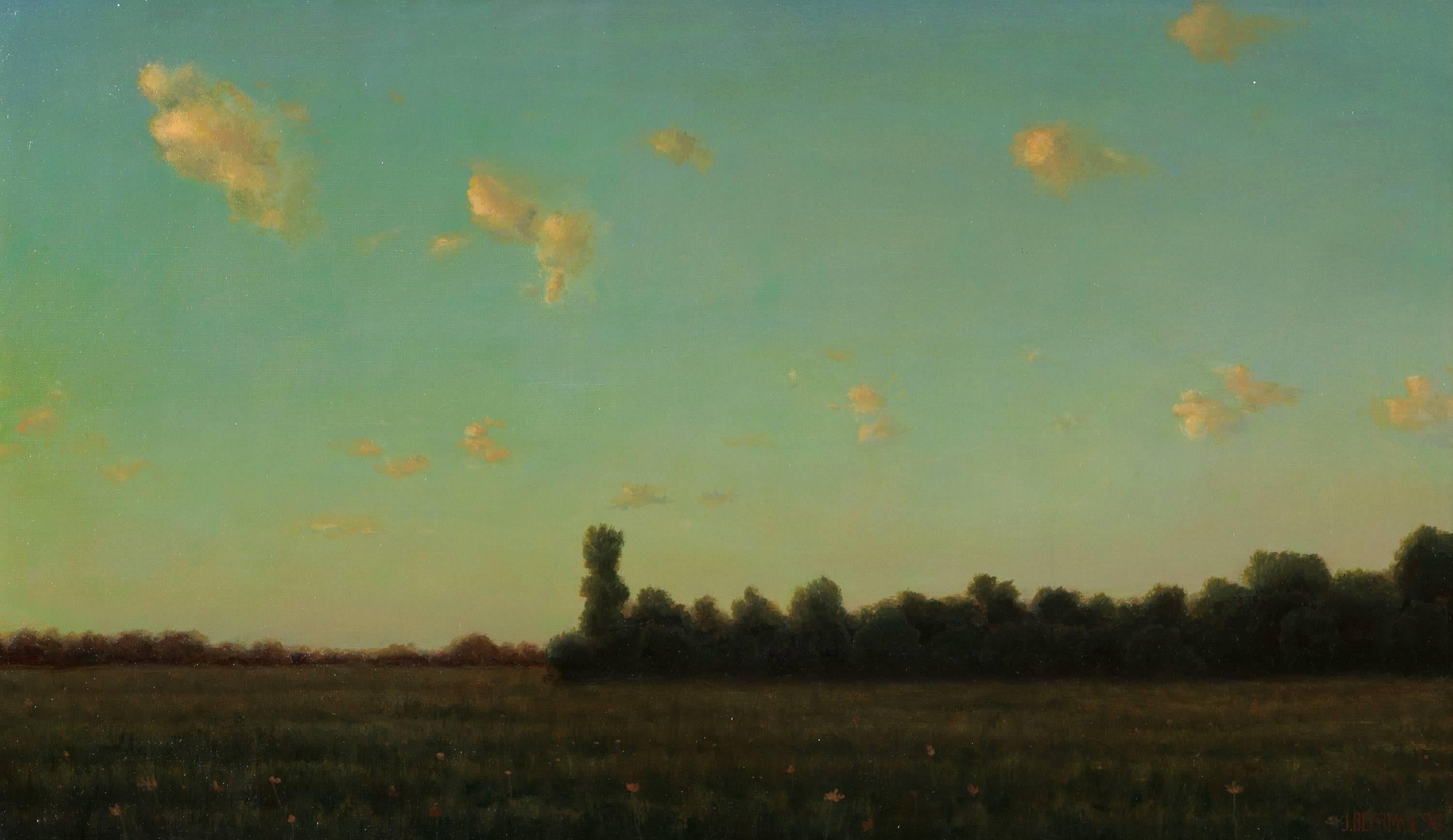 John Beerman Landscape Painting - Wisconsin Field
