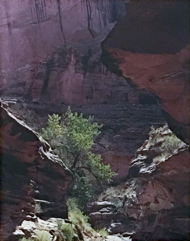 Eliot Porter Coyote Gulch, Escalante River, Glen Canyon, Utah For