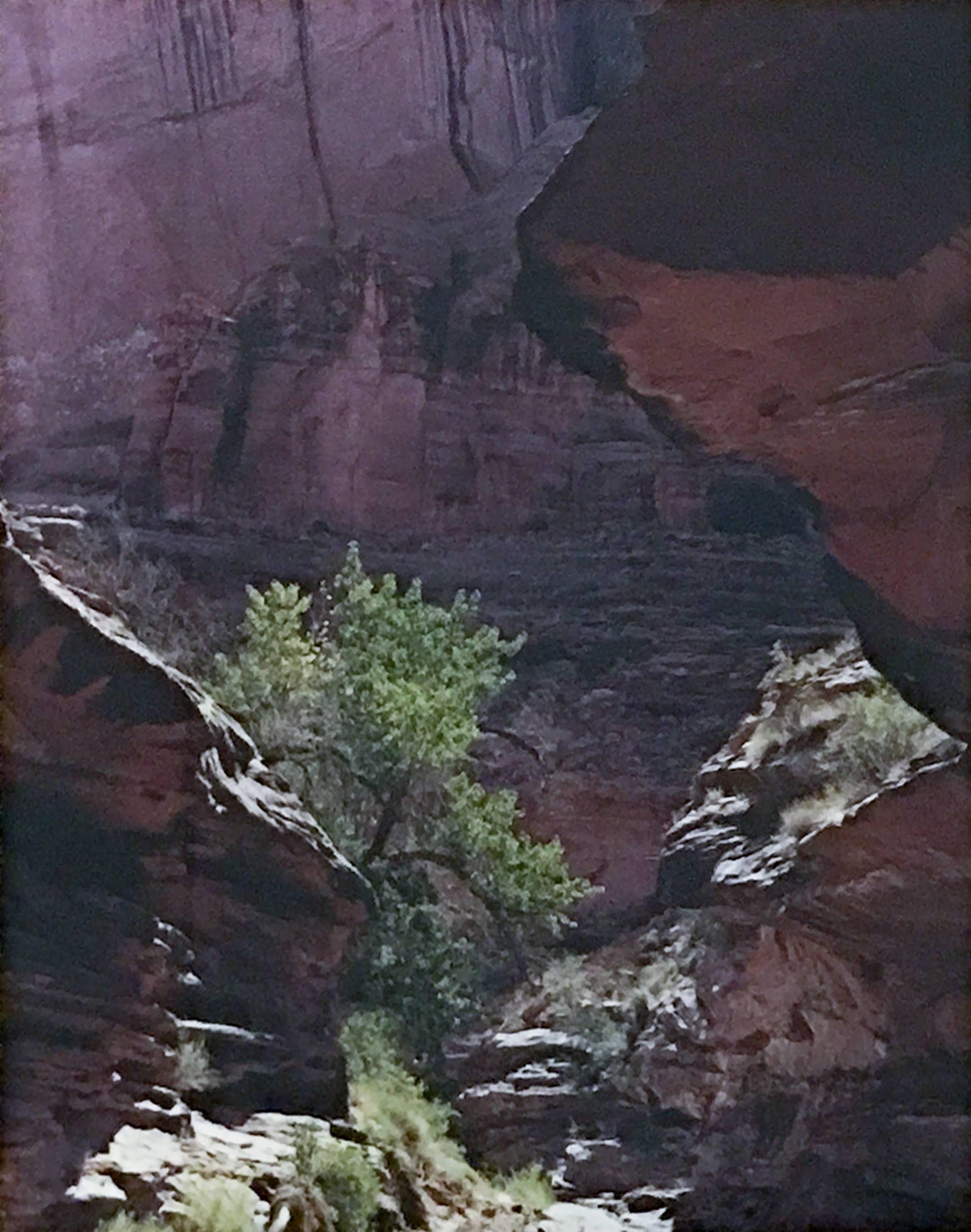 Eliot Porter Landscape Print - Coyote Gulch, Escalante River, Glen Canyon, Utah