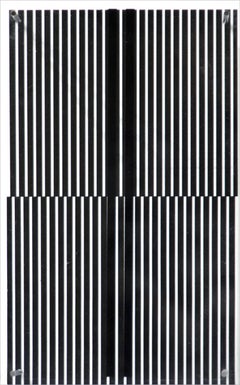 Paralelas Vibrantes (Serie Sintesis)