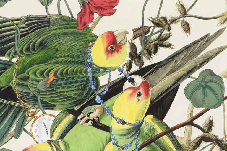 Tropaiolum majus – Painting von Penelope Gottlieb