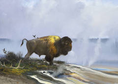 Untitled - Lone Yellowstone Bison