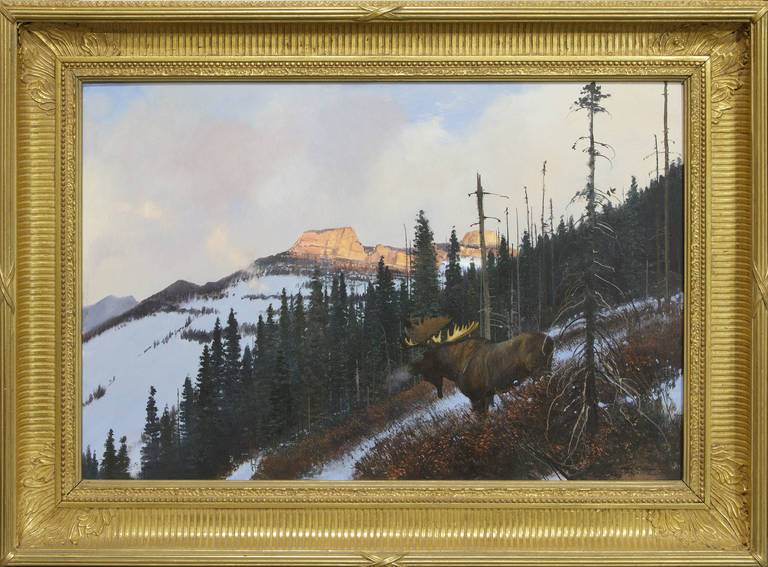Untitled - Moose Under Sunlit Peaks