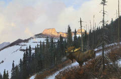 Untitled - Moose Under Sunlit Peaks