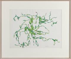 The Young Leaves (x-85)