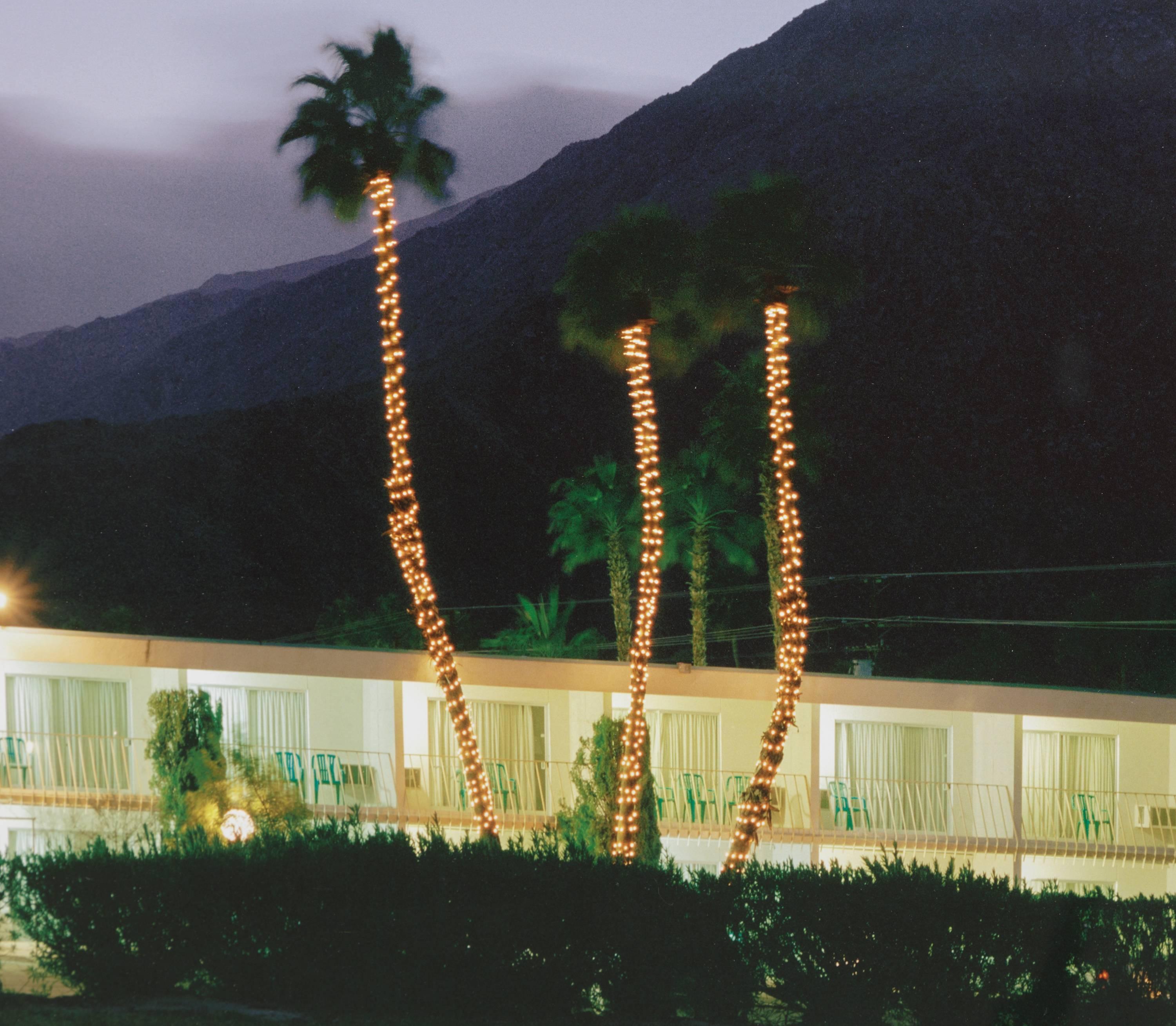 A color, photographic, chromogenic print depicting a night image of the low slung roof line of a 1960's style motel in Palm Springs, California, the inn lit up against a violet desert sky dotted with towering date palms by contemporary artist Robert