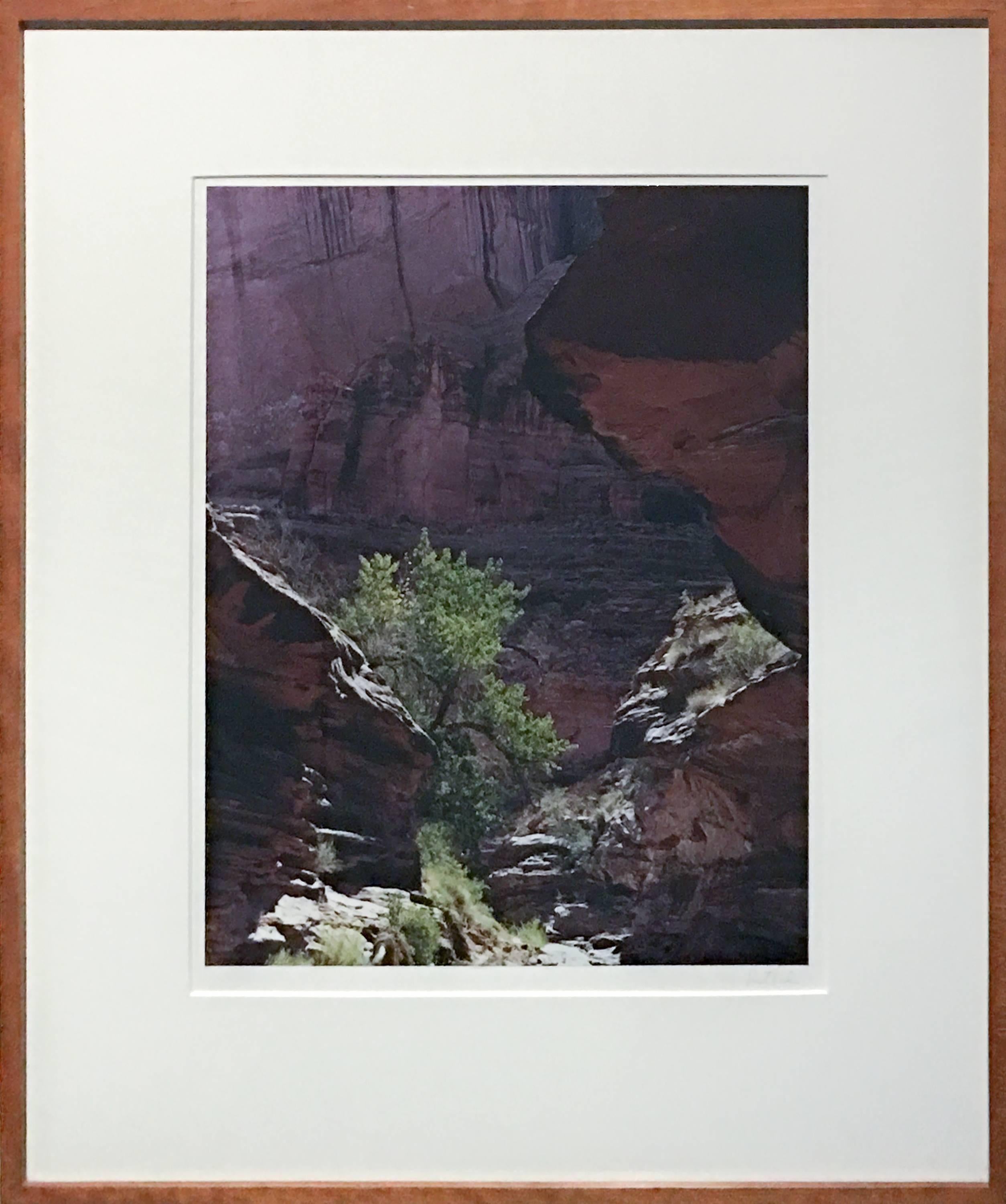 eliot porter glen canyon