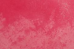 Outside: Lake Balboa, Cherry Blossoms 1