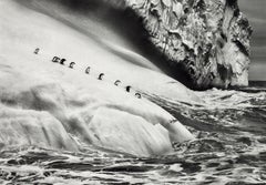Chinstrap Penguins, South Sandwich Islands - Signed Silver Gelatin Print, 2009