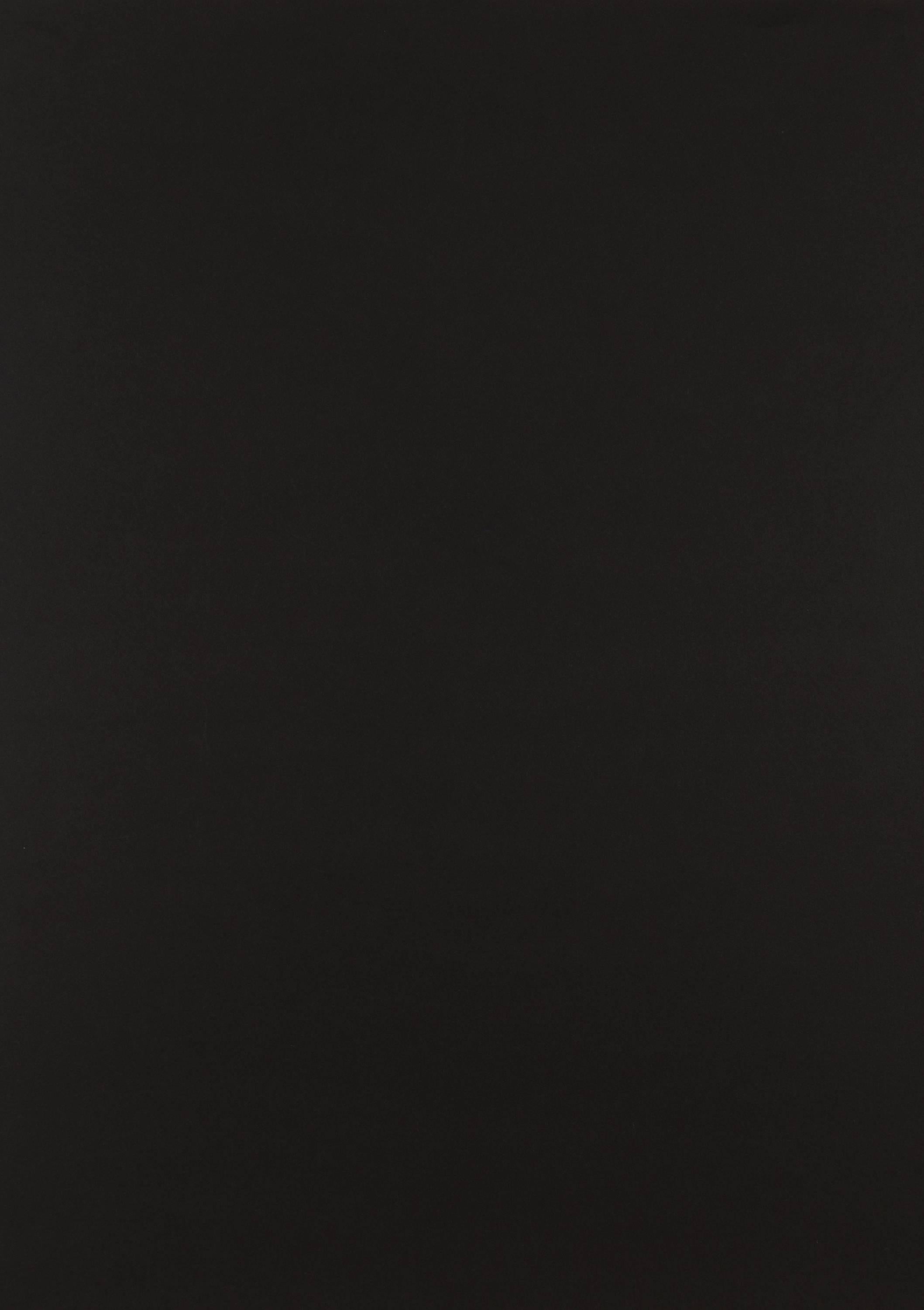 Nureyev 3
