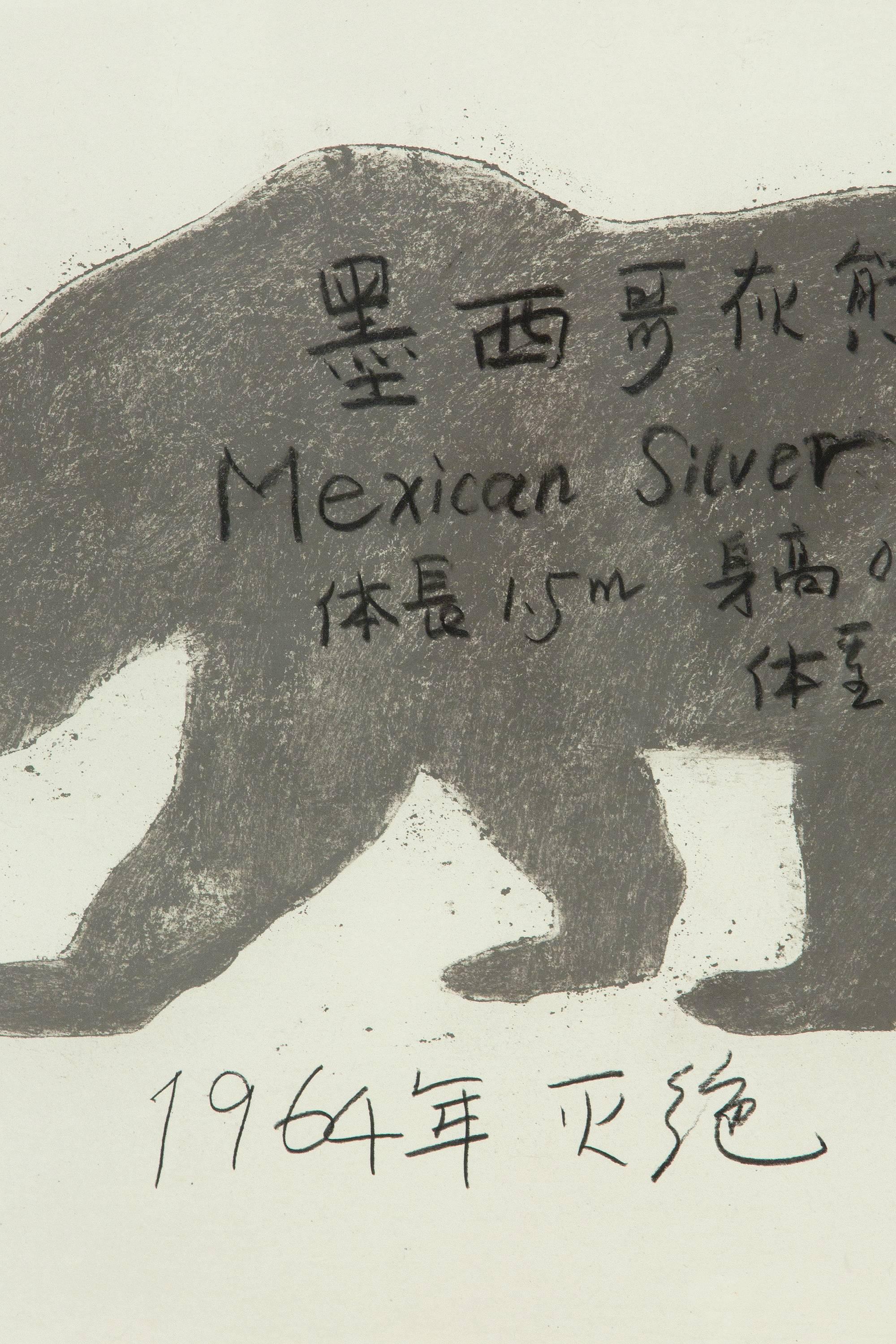 mexican grizzly bear silver
