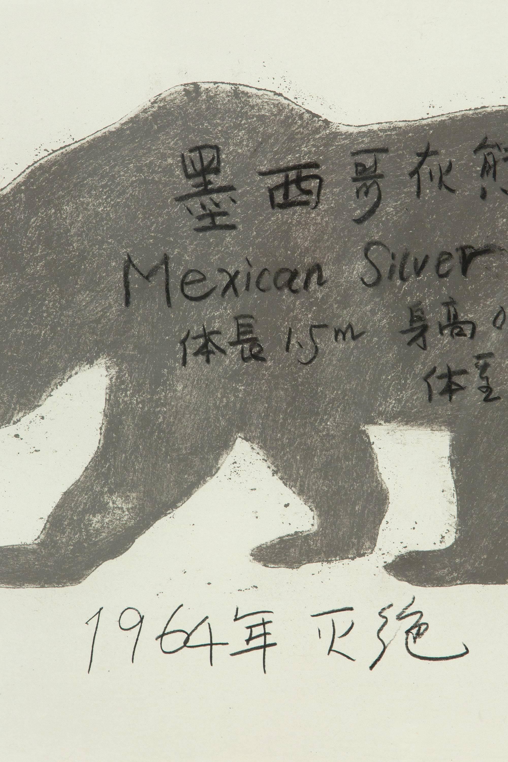 mexican silver grizzly bear