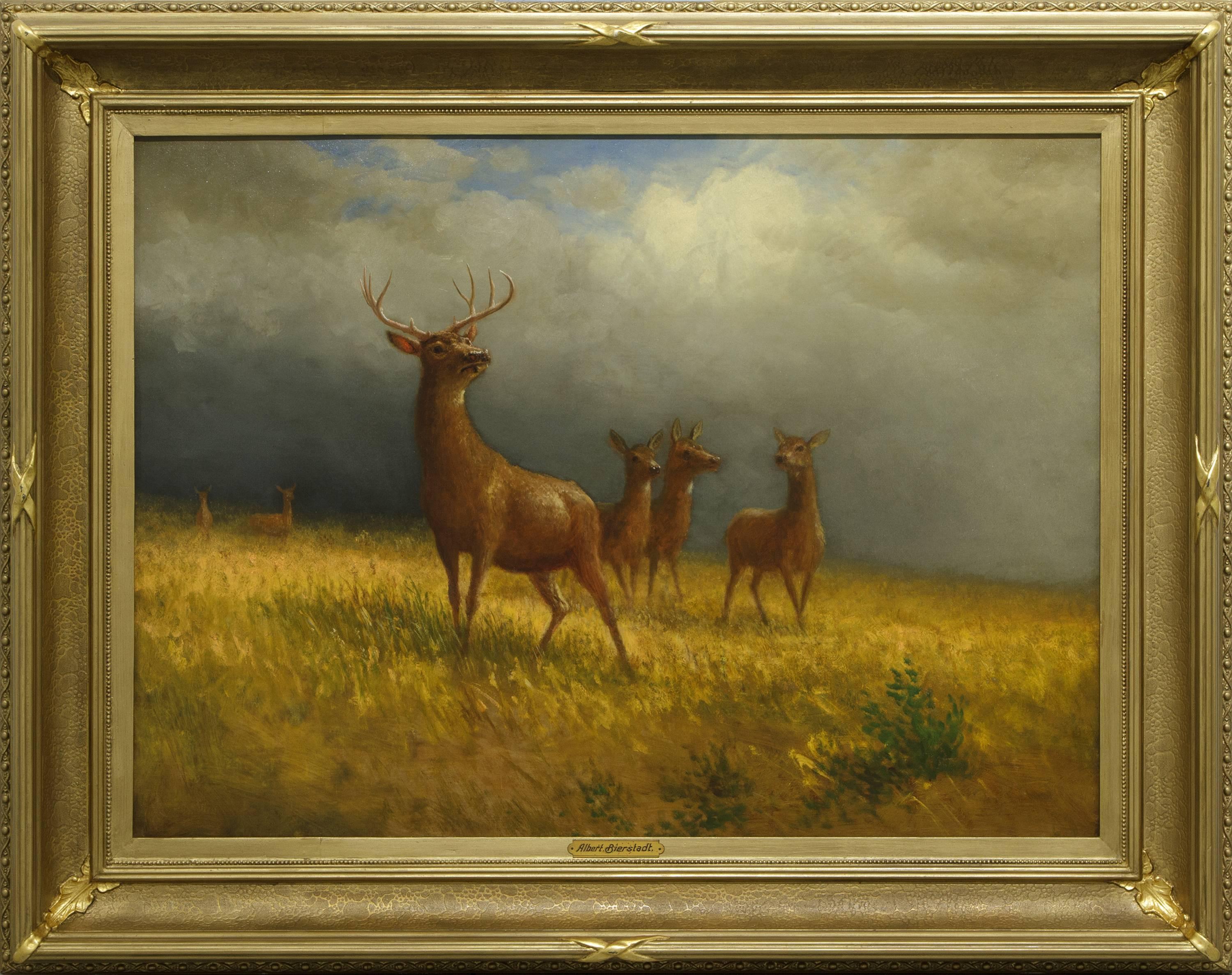 Three Deer and a Stag (Monarch of the Plains) - American Realist Painting by Albert Bierstadt
