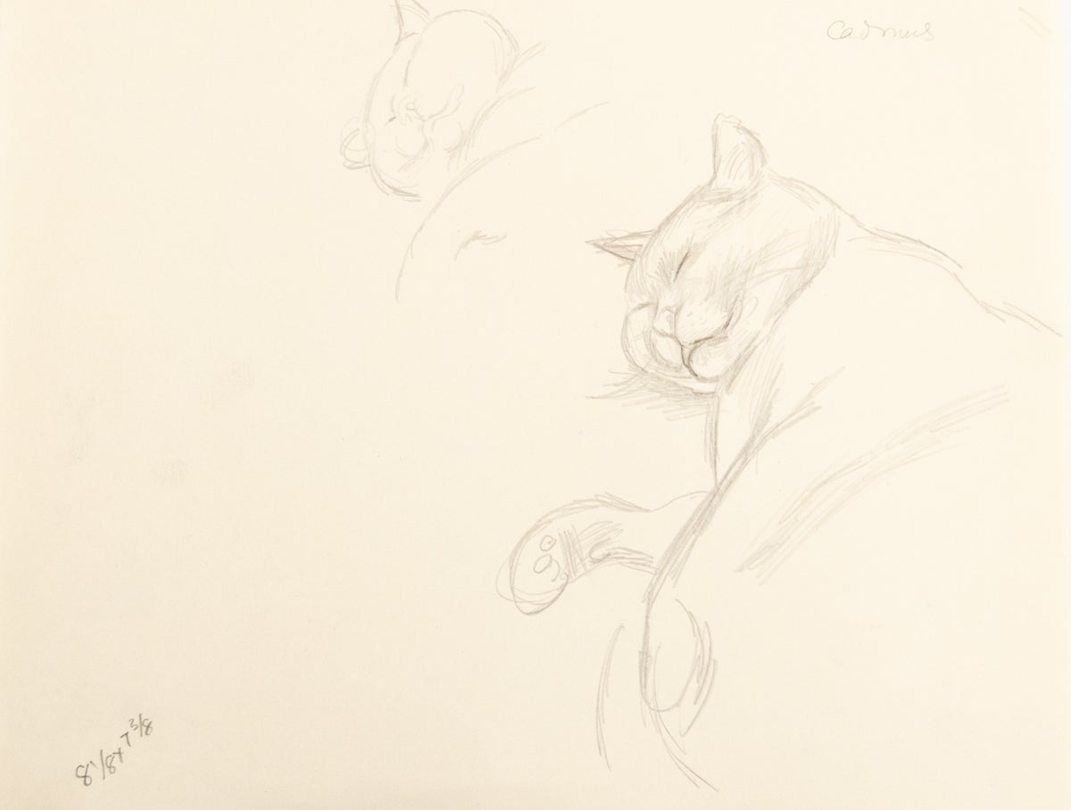 Untitled (Cat Study)