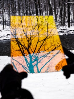 In Wildness (Road Map)