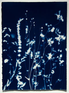 Untitled L49