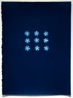 Untitled F8