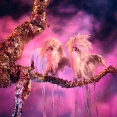 Exotic Birds