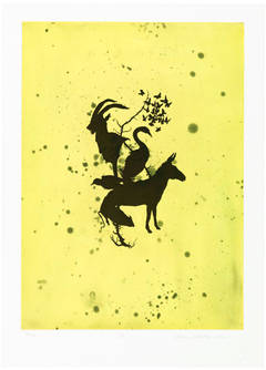 Plate IX from the portfolio A Swarm, A Flock, A Host
