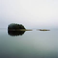 Plate # 10 - 02076-8 from the Wilderness Series