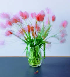 Stilleben/Still Lives