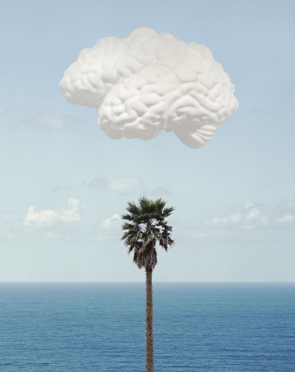 John Baldessari Landscape Print - Brain/Cloud (With Seascape and Palm Tree)