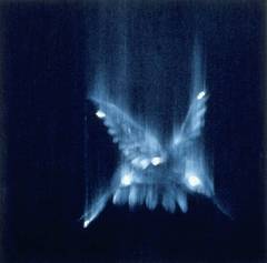 Falling Bird