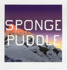 Sponge Puddle