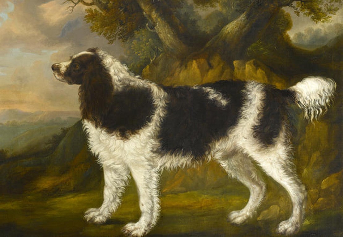 George Garrard Portrait Painting - Large Spaniel Standing in a Landscape