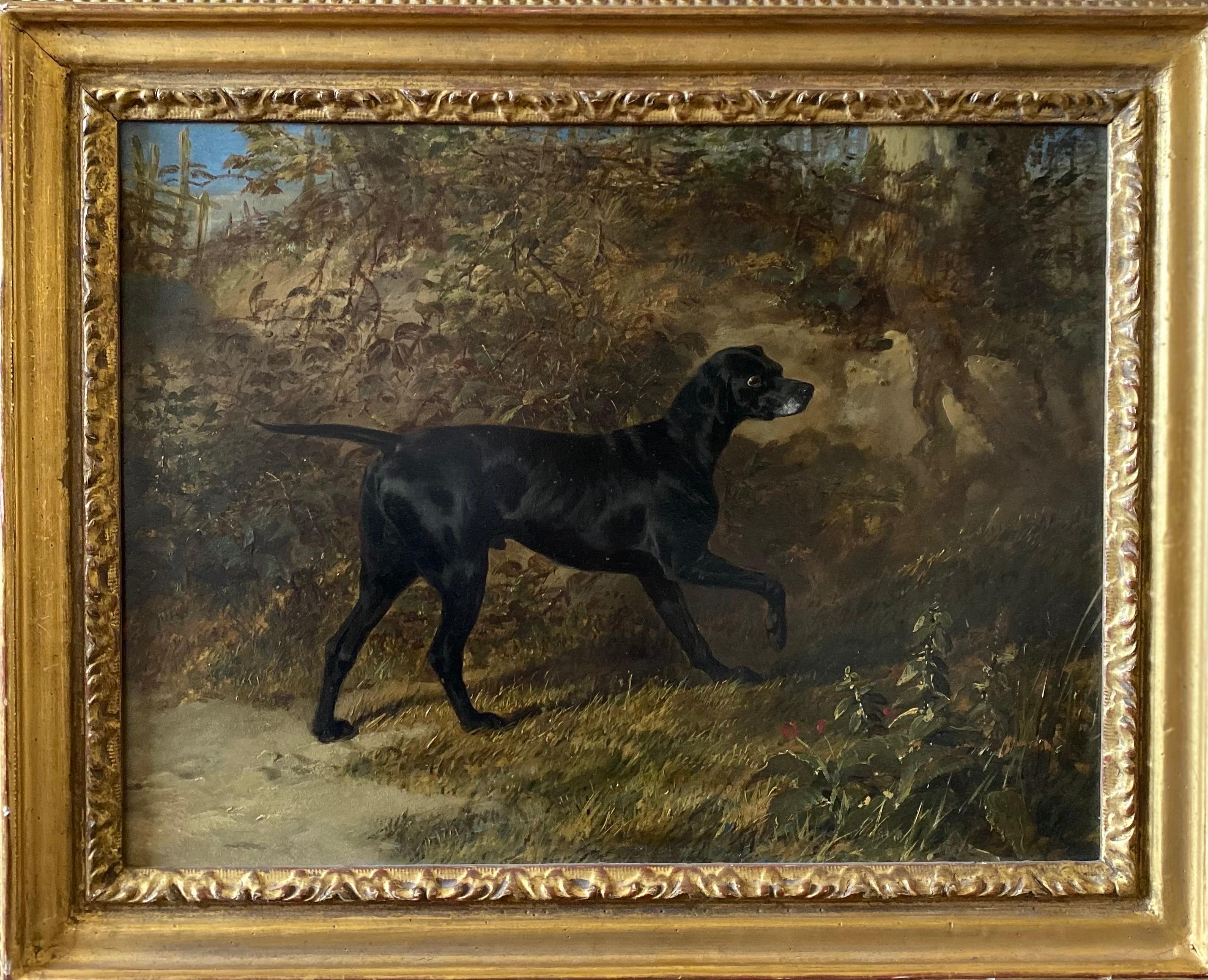 John Frederick Herring Sr. - English 19th century painting of a hound in a  woodland landscape For Sale at 1stDibs