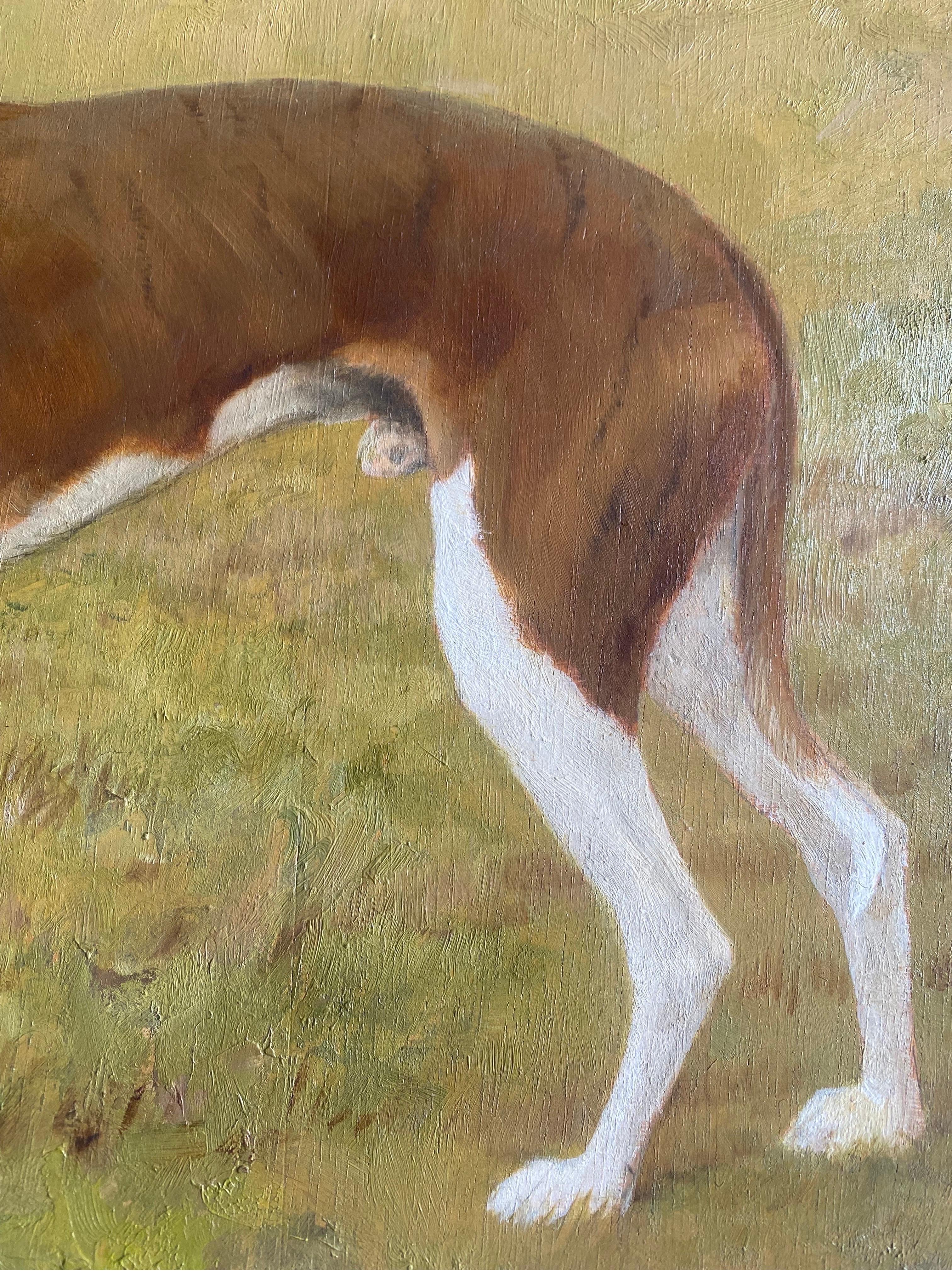 A portrait of a Greyhound dog by Frances Mabel Hollams (1877-1963) 1