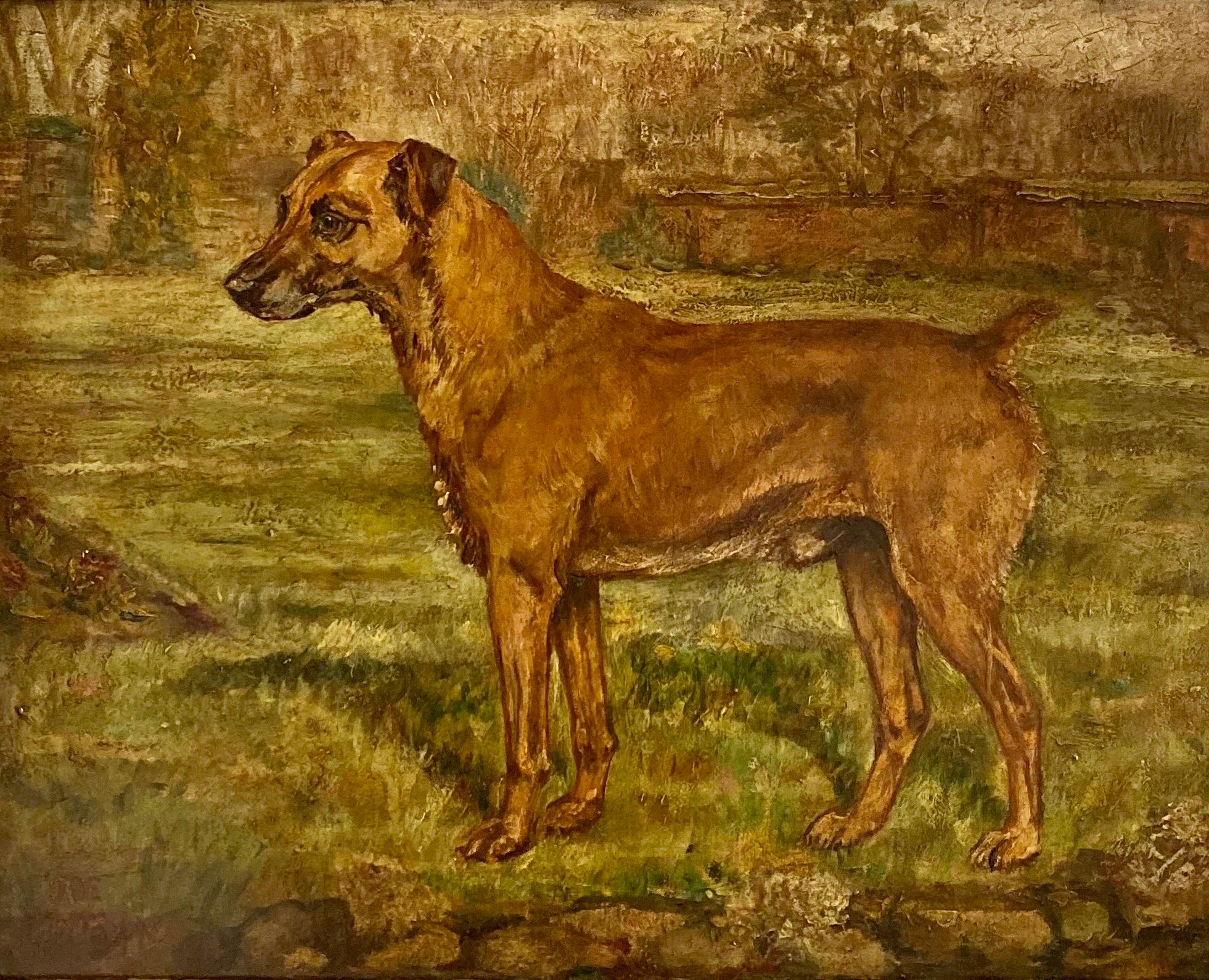 Un portrait d'un chien terrier anglais debout dans un jardin mural, signé. - Painting de John Emms