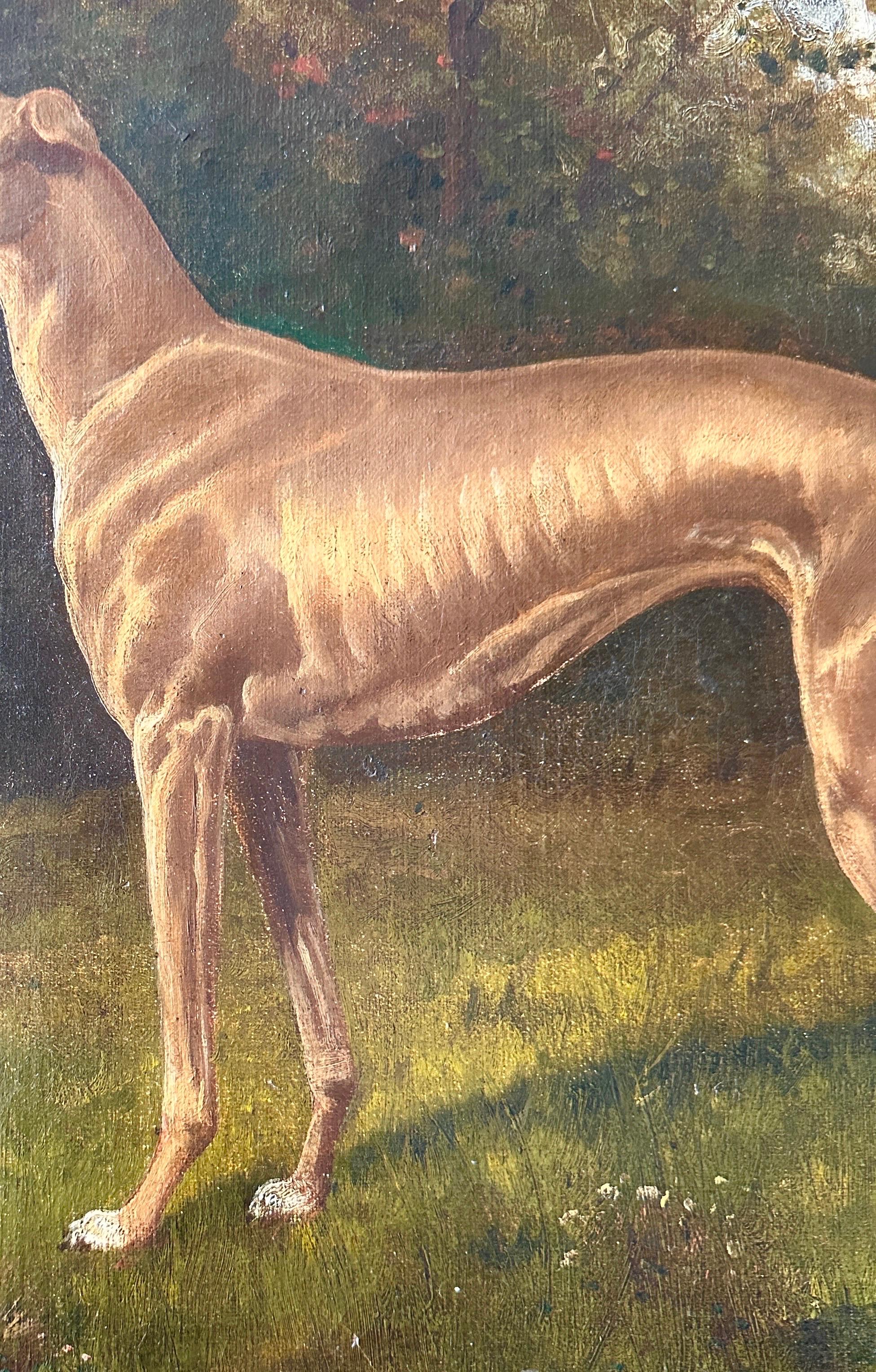 Un portrait d'un chien lévrier dans un paysage verdoyant du 19e siècle, signé en vente 1
