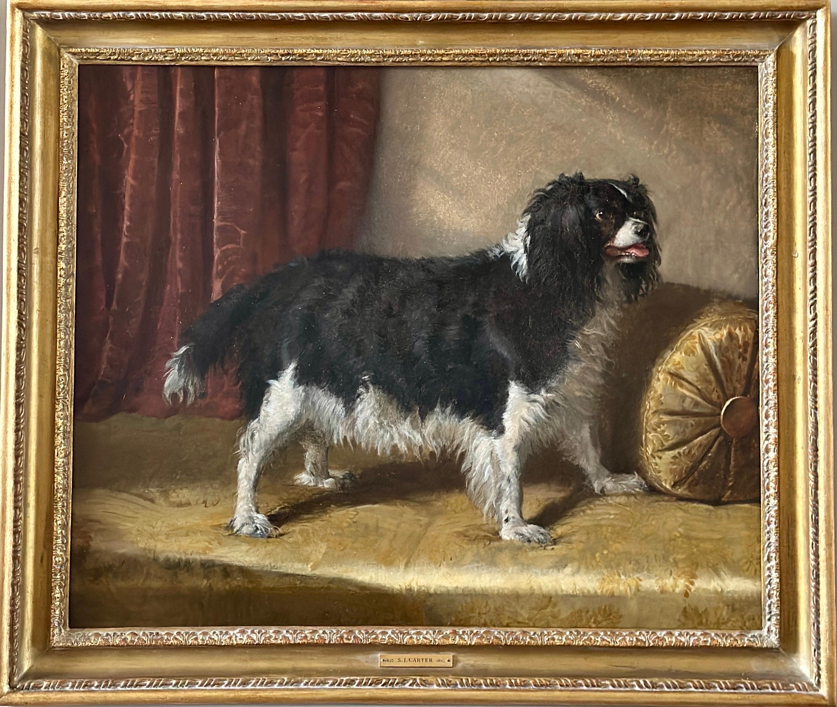 Samuel John Carter Animal Painting - A portrait of a black and white spaniel dog in a sumptuous interior